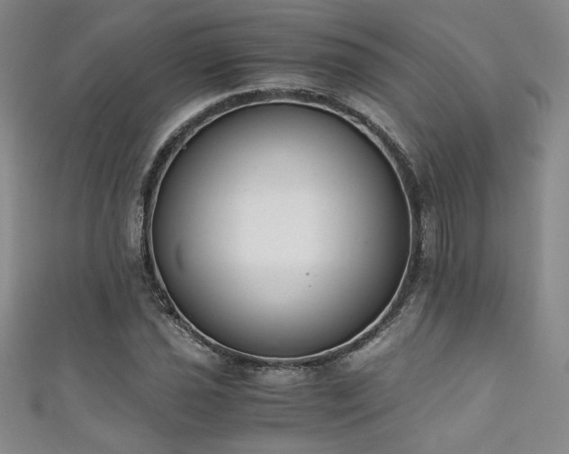 X0000111881021200907231530