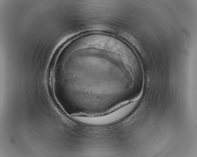 X0000111881024200907231530
