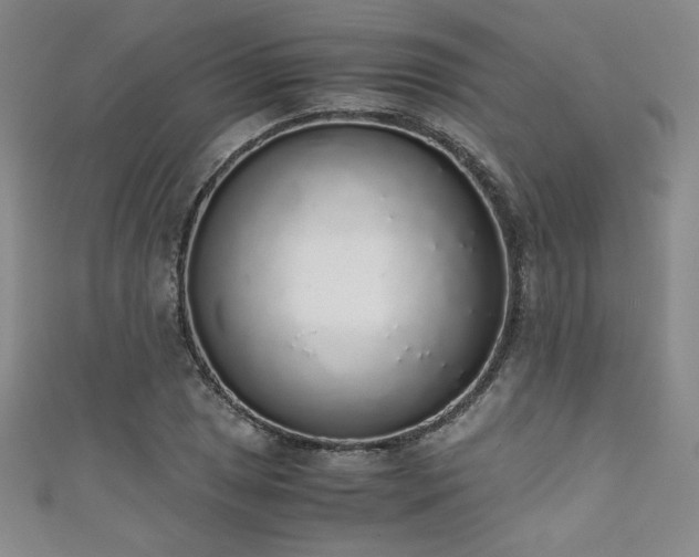 X0000111881025200907231530
