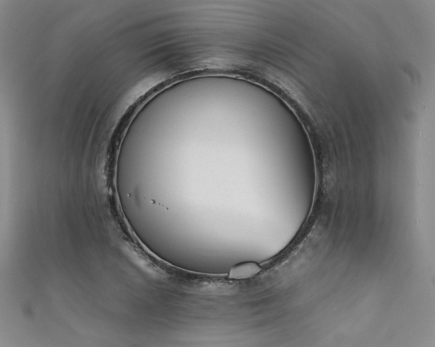 X0000111881026200907231530
