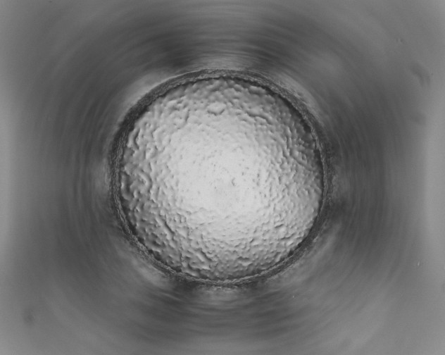 X0000111881027200907231530