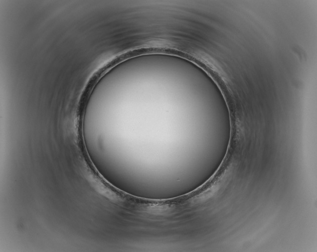 X0000111881029200907231531