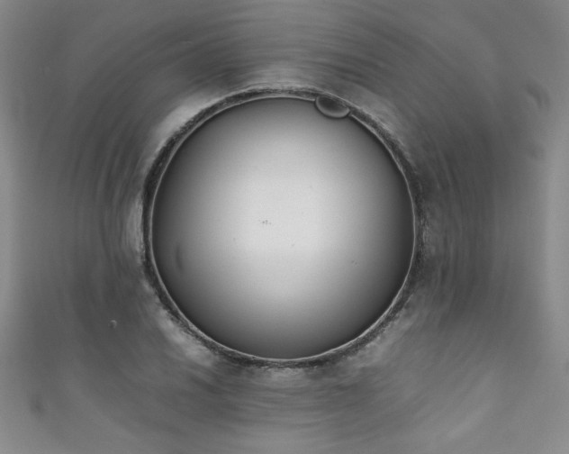 X0000111881030200907231531