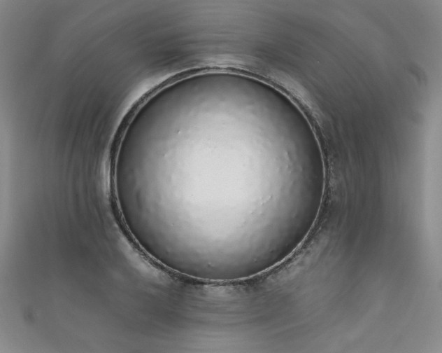 X0000111881032200907231531