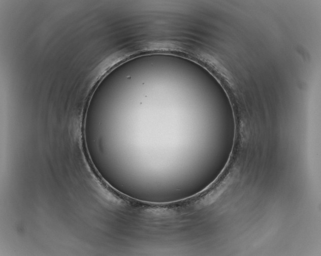 X0000111881033200907231531