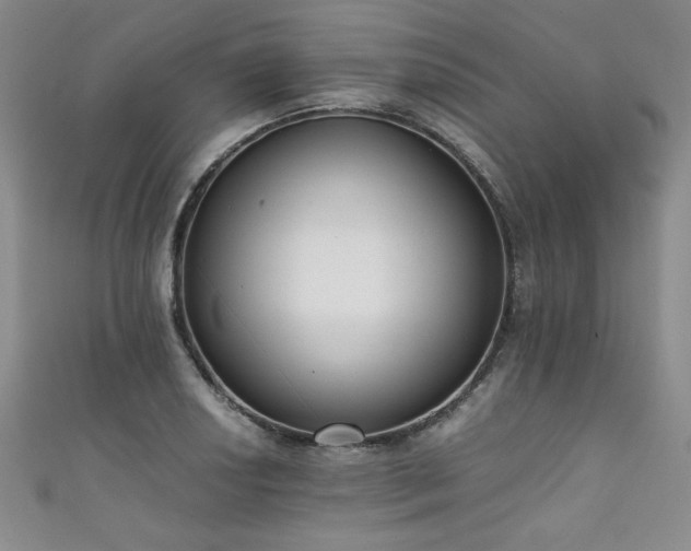 X0000111881034200907231531