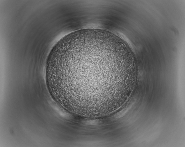 X0000111881035200907231531