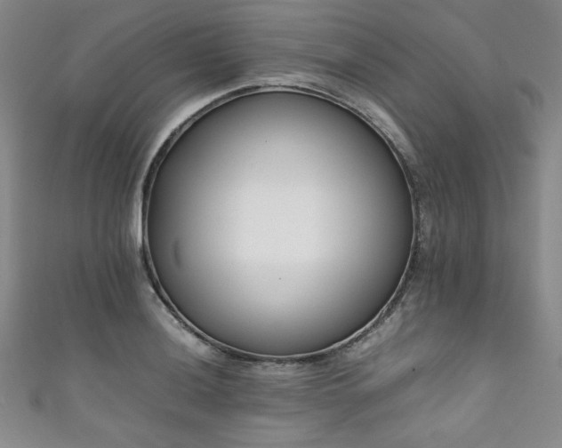X0000111881036200907231531