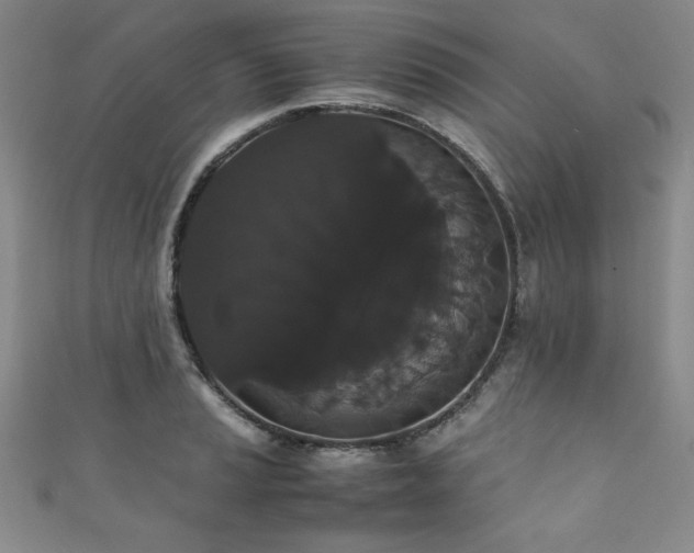 X0000111881037200907231531