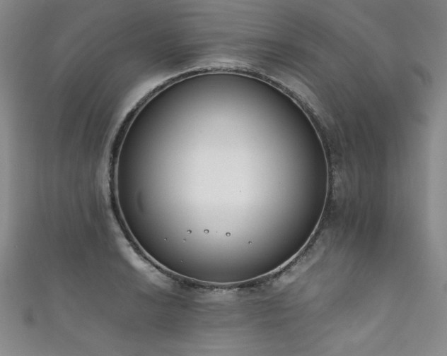 X0000111881038200907231531