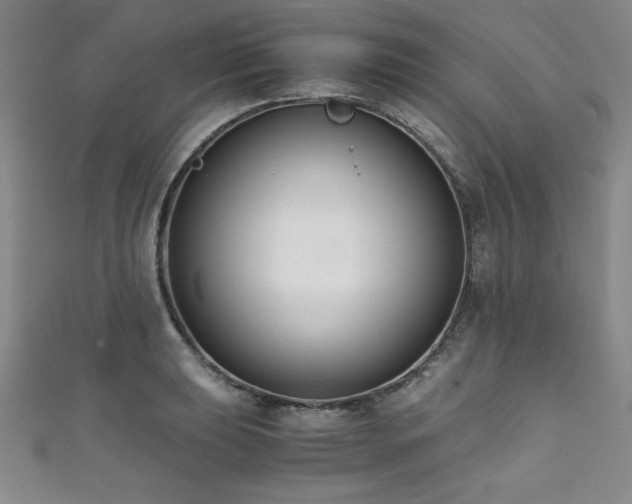 X0000111881039200907231531