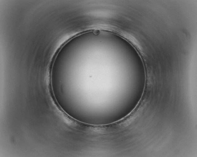 X0000111881040200907231531