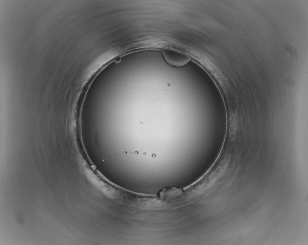 X0000111881042200907231531