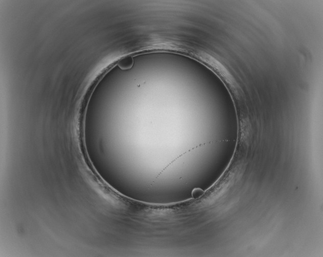 X0000111881043200907231531
