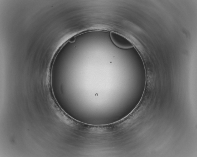 X0000111881044200907231531