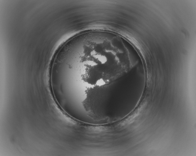 X0000111881045200907231531