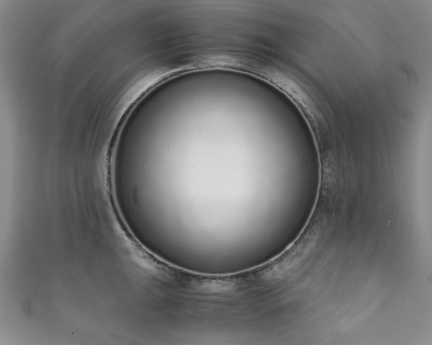 X0000111881047200907231531