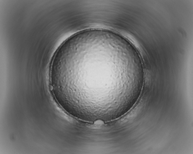 X0000111881048200907231531