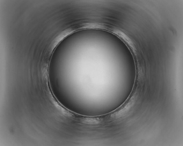 X0000111881049200907231531