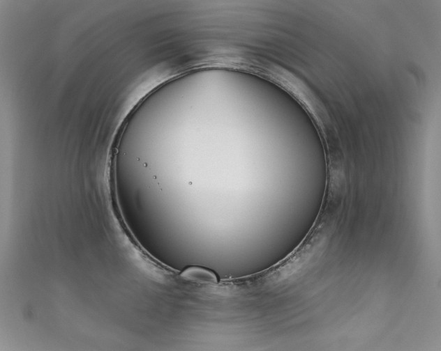 X0000111881050200907231531