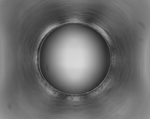 X0000111881051200907231531