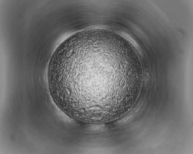 X0000111881055200907231531