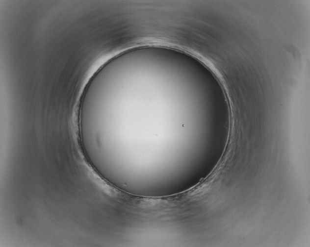 X0000111881056200907231531