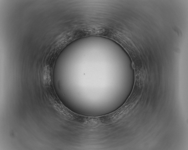 X0000111881058200907231530