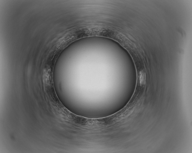 X0000111881059200907231530