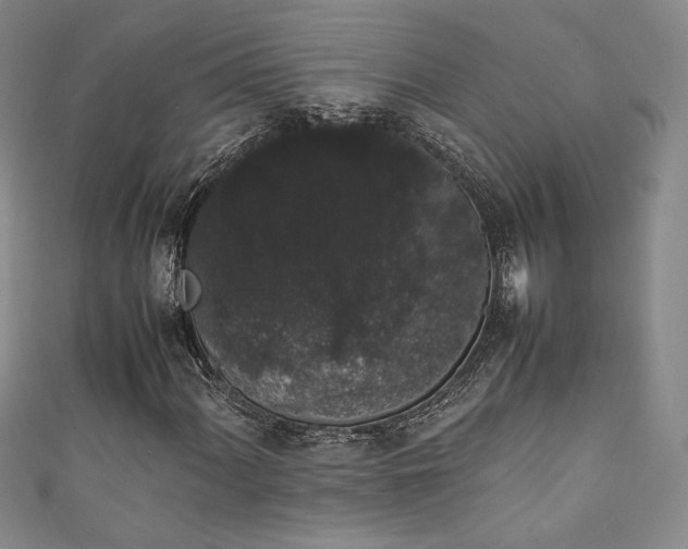 X0000111881060200907231530