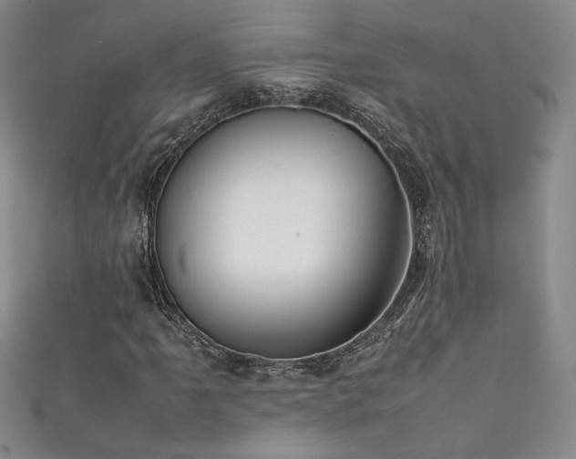 X0000111881061200907231530