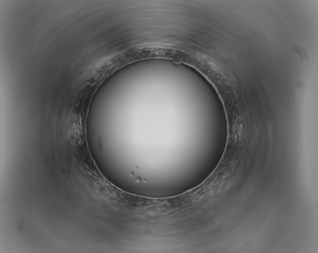 X0000111881062200907231530