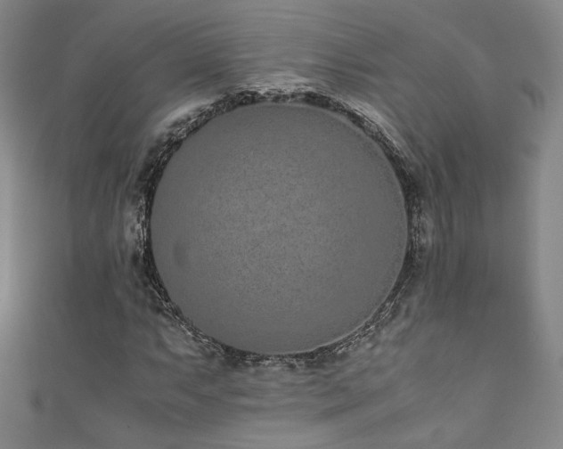 X0000111881063200907231530