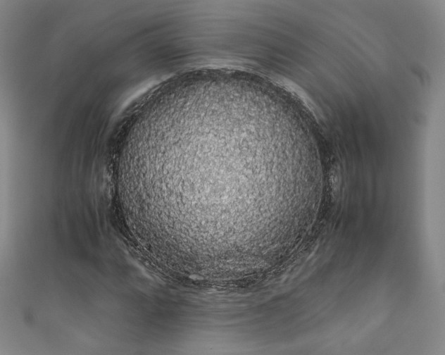 X0000111881064200907231530