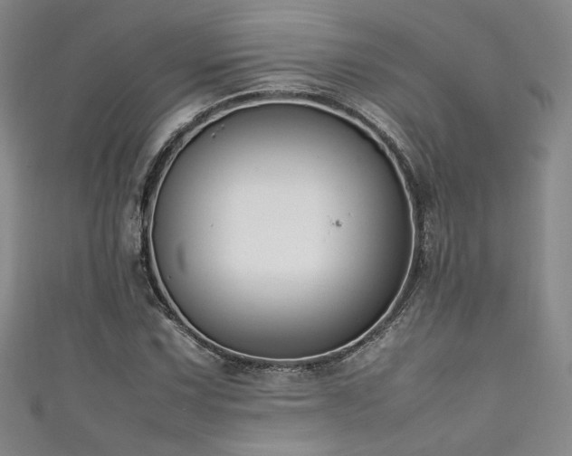 X0000111881067200907231530