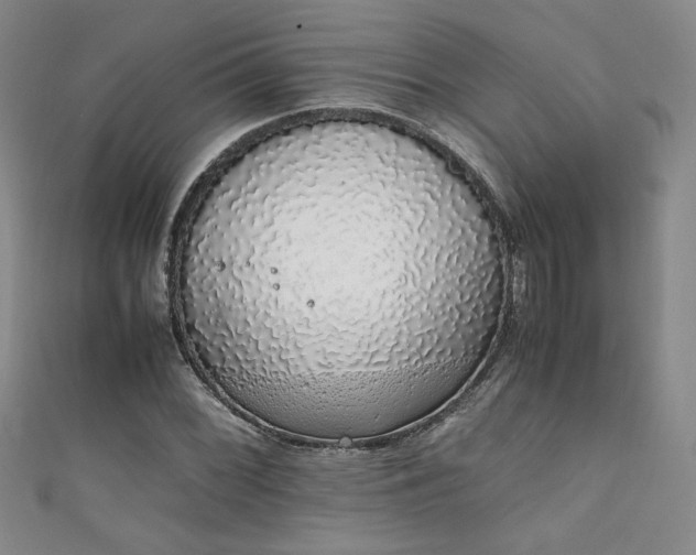 X0000111881068200907231530