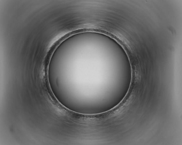 X0000111881070200907231530