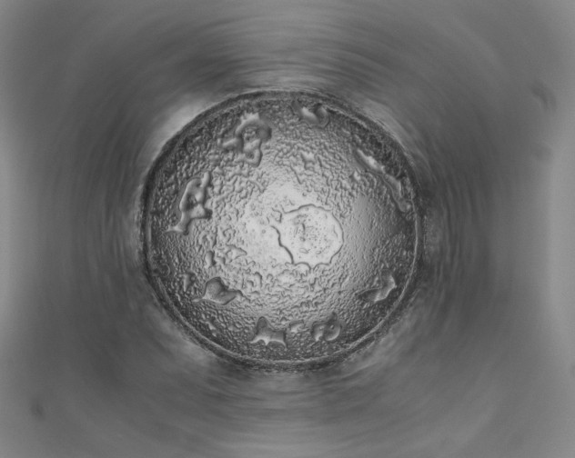 X0000111881071200907231530