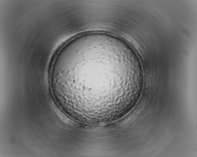 X0000111881072200907231530