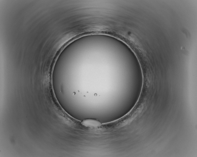 X0000111881073200907231530