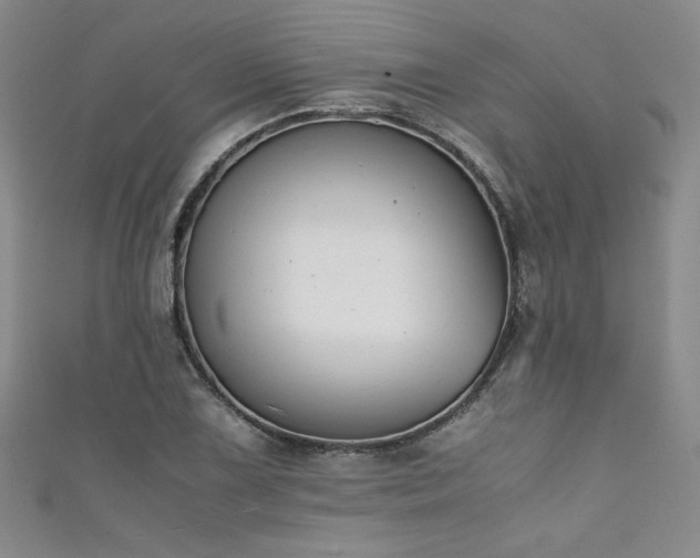 X0000111881075200907231530
