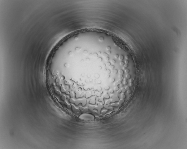 X0000111881076200907231530