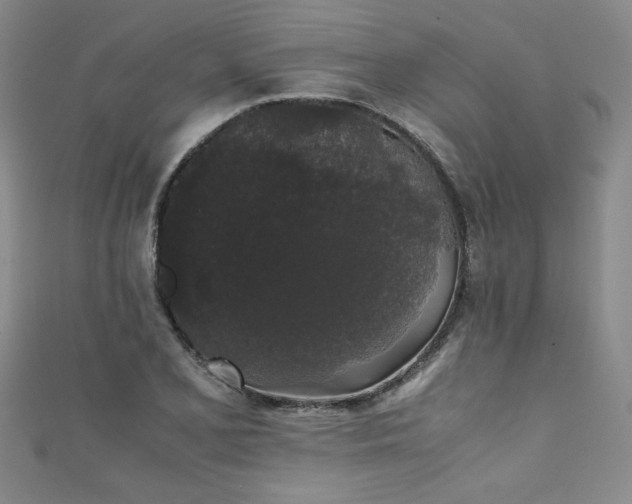 X0000111881077200907231530