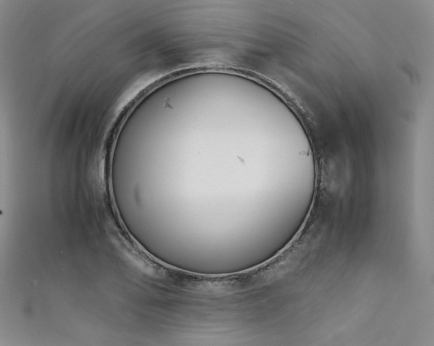 X0000111881078200907231530