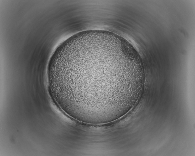 X0000111881080200907231530