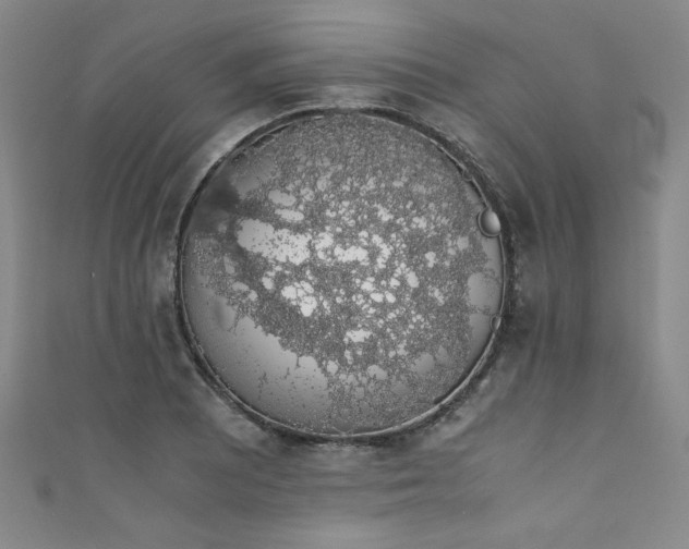 X0000111881081200907231530