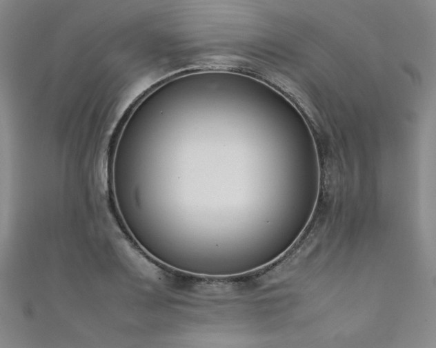 X0000111881083200907231530