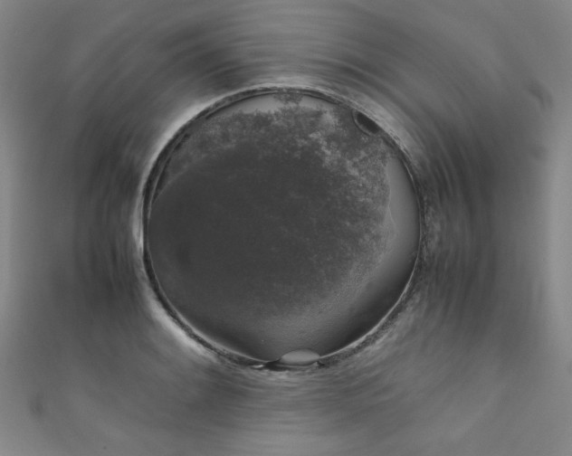 X0000111881084200907231530