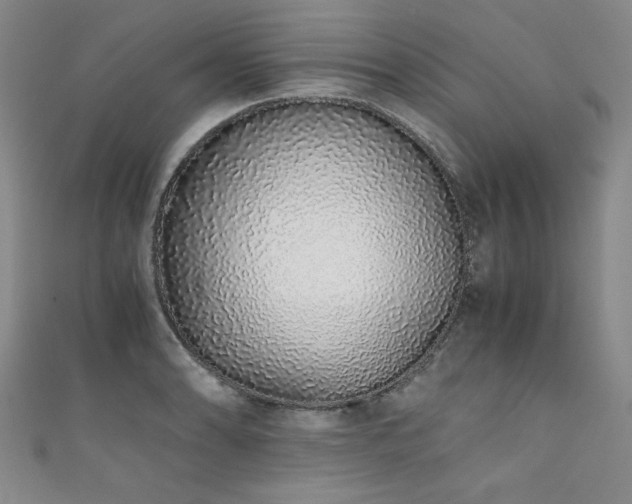 X0000111881086200907231530