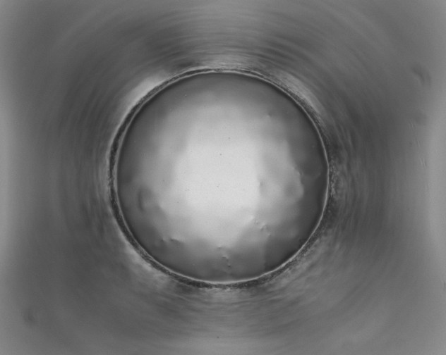 X0000111881087200907231530